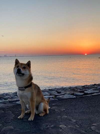 Sonnenaufgänge oder - untergänge-Beitrag-Bild
