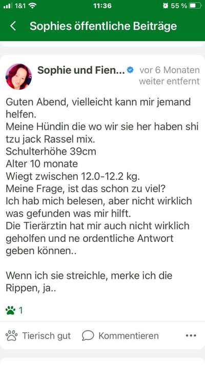 Hund zu dick?-Beitrag-Bild