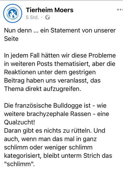 Qualzucht - Warum Aufklärung alleine nicht reicht-Beitrag-Bild