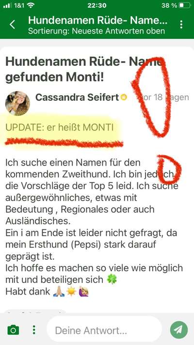 Hundenamen Rüde- Name gefunden Monti!-Beitrag-Bild