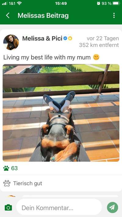 Die dunkle Seite einen Hund zu haben-Beitrag-Bild