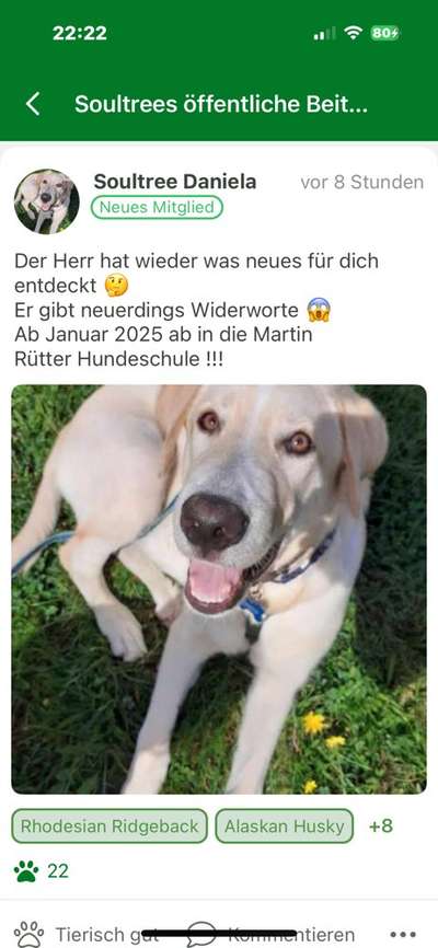 Das leidige Thema Anspringen !-Beitrag-Bild