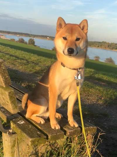 Pause an der Bank-Beitrag-Bild