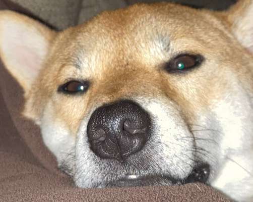 Ratespaß geht weiter-Beitrag-Bild