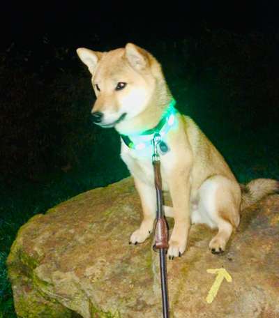 Dogorama Photo Challenge - Steine/Felsen-Beitrag-Bild