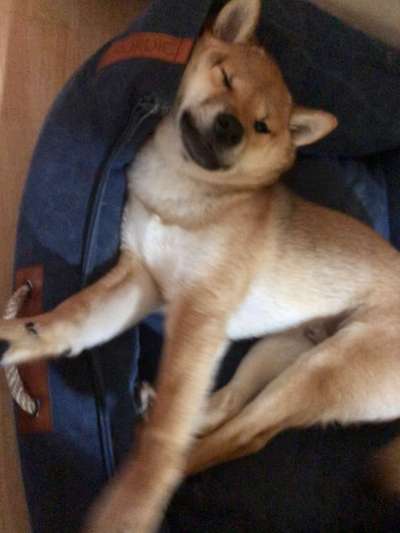 Moviestar-Pics!-Beitrag-Bild