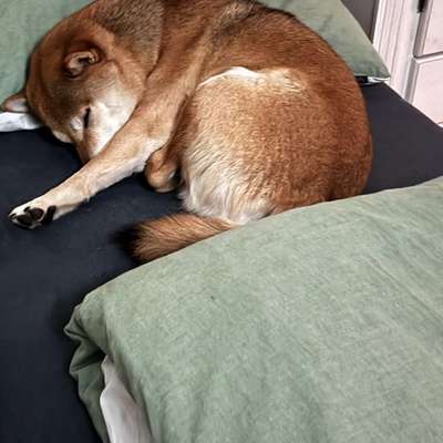 Was hat euch heute gefreut?-Beitrag-Bild