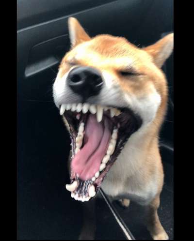 Handy-foto Challange nr. 11-Beitrag-Bild