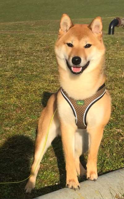 Lieblings Fotos-Beitrag-Bild