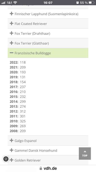 Qualzucht-Beitrag-Bild