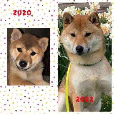 28. Handy-Fotochallenge - Damals und heute-Beitrag-Bild