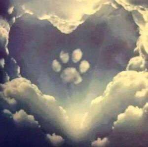 richtiger Zeitpunkt zum gehen lassen-Beitrag-Bild