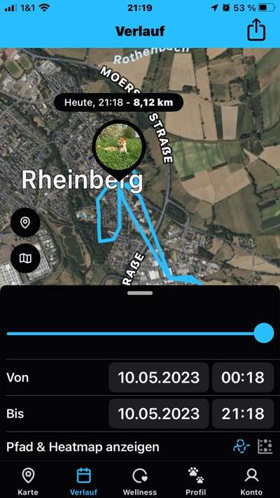 Wie viel lauft ihr so im Durschnitt mit euern Hund?-Beitrag-Bild