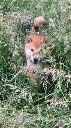 Farben Fotochallenge Thema ,,Grün"-Beitrag-Bild