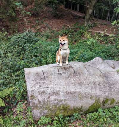 Welche Sätze hört ihr oft?-Beitrag-Bild