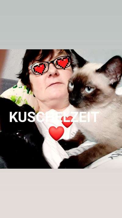 Hund und Katz Momente-Beitrag-Bild