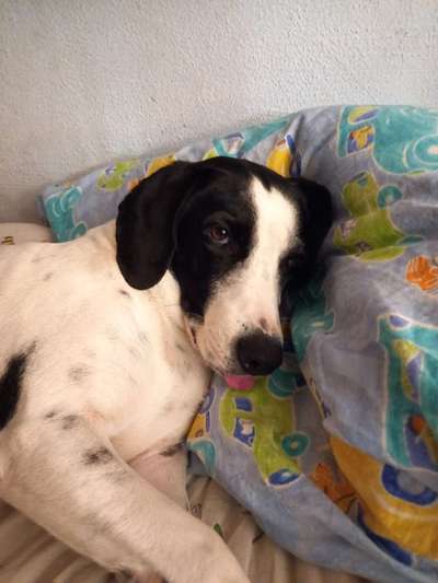 Zeigt eure Portraits-Beitrag-Bild