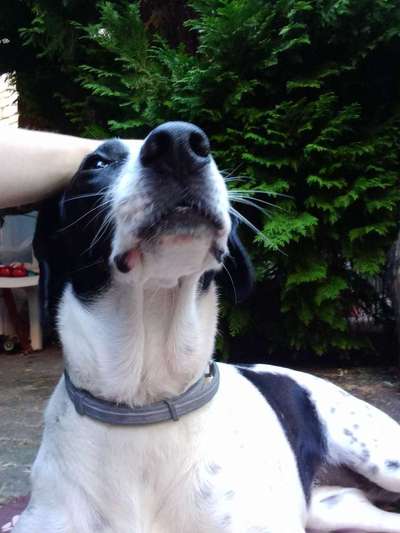 Zeigt eure Portraits-Beitrag-Bild