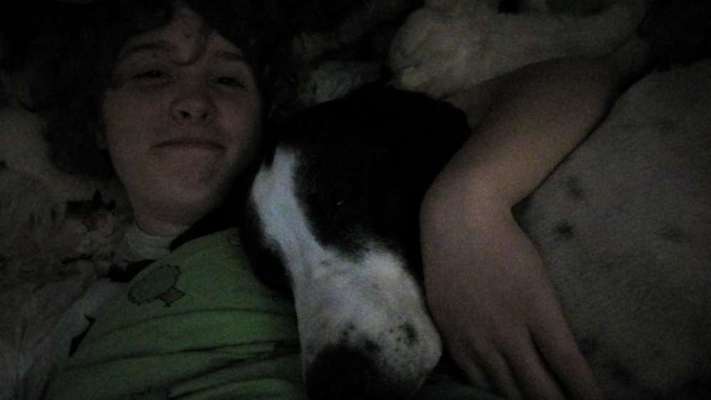 Comedyprogramm Hund:-Beitrag-Bild