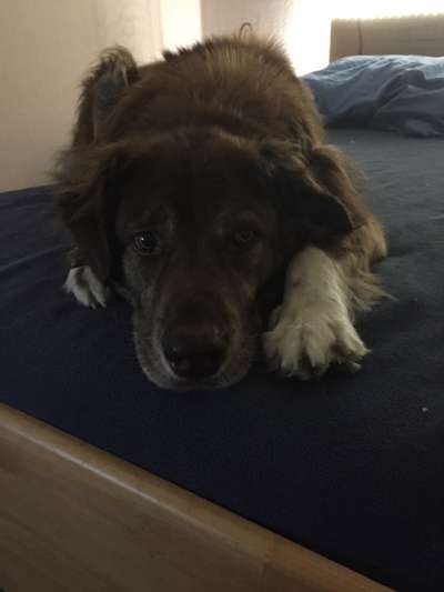 Fotochallange Nr. 57     PORTRÄT.   Beendet!!!!!!!!-Beitrag-Bild