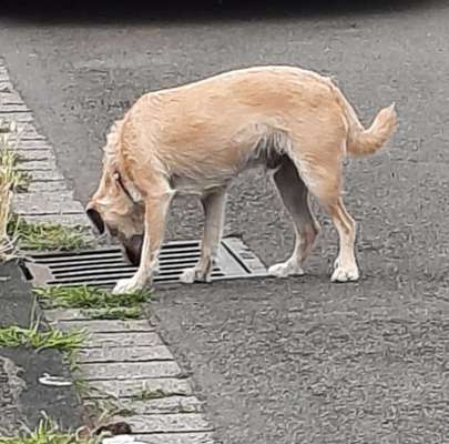 23. Handy Foto-Challenge-Beitrag-Bild