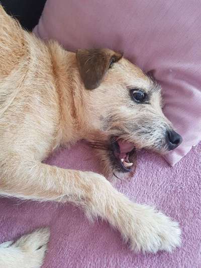 Fotochallenge Nr.122-Beitrag-Bild