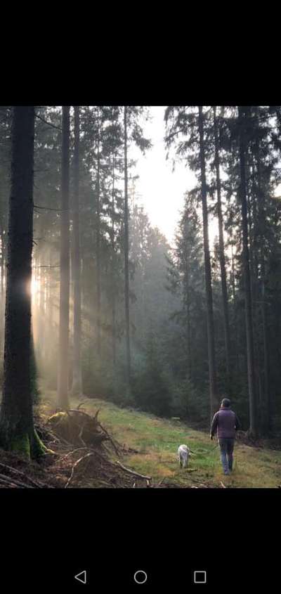 SonnenSTRAHLEN-Beitrag-Bild