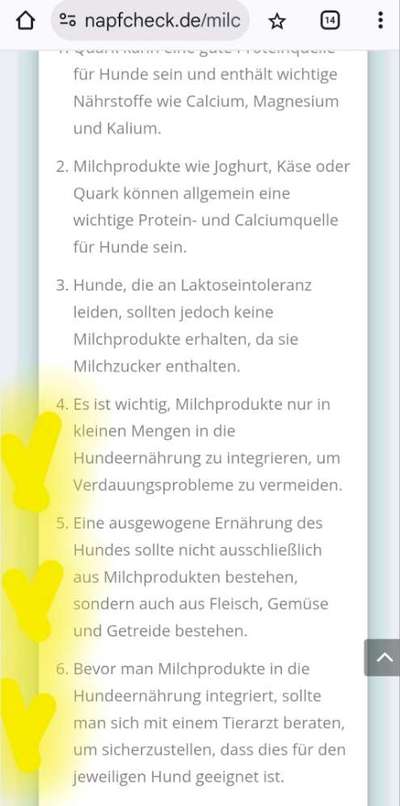Hochwertiges / Bedarfsgerechtes Nassfutter (ohne Barfen), welches nur?-Beitrag-Bild
