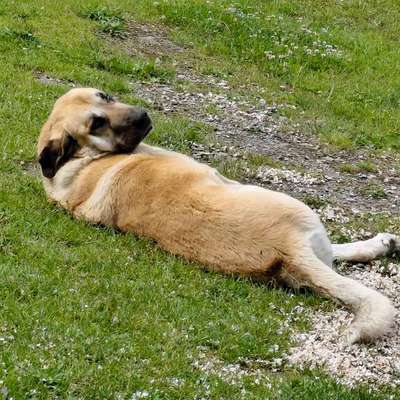 Suchmeldung-Face-Bild