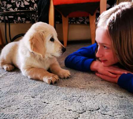 Welpen Bilder !-Beitrag-Bild