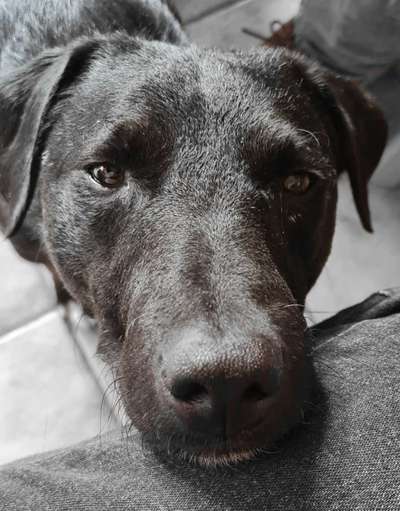 Fotochallange 84-Beitrag-Bild