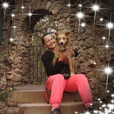 Hundetreffen-Sozial Walk und Trainigs partner-Profilbild