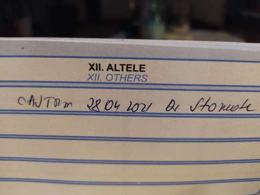 Zeitpunkt der Sterilisation-Beitrag-Bild