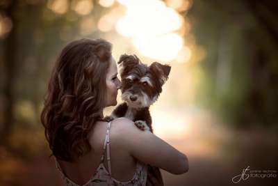 Foto's und Hundemodels-Beitrag-Bild