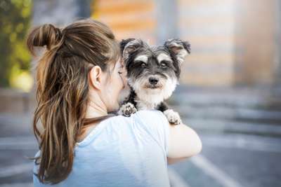 Foto's und Hundemodels-Beitrag-Bild