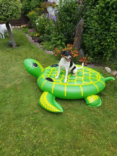 Fotochallenge Nr. 94 It's summer time-Beitrag-Bild