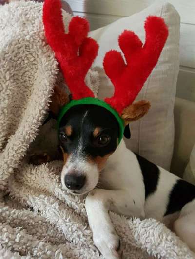 Moviestar-Pics!-Beitrag-Bild