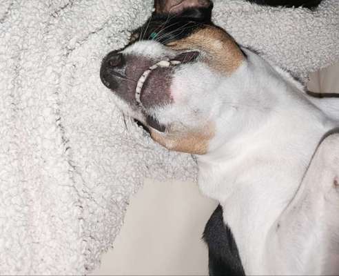 Lustige Grimassen & verrückte Posen-Beitrag-Bild