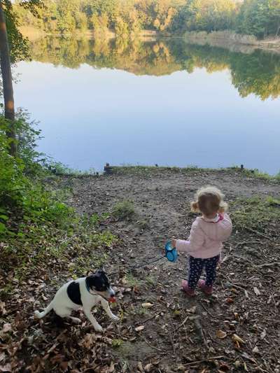 Dogorama Photo Challenge - schönster Gassiausblick-Beitrag-Bild