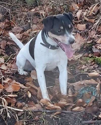 Fotowettbewerb Natur-Beitrag-Bild