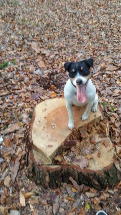 Theos Fotochallenge Nr. 3-Beitrag-Bild