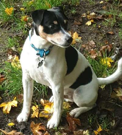 Fotowettbewerb Natur-Beitrag-Bild