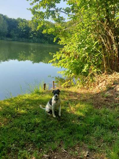 Theos  Fotochallenge Nummer 2-Beitrag-Bild