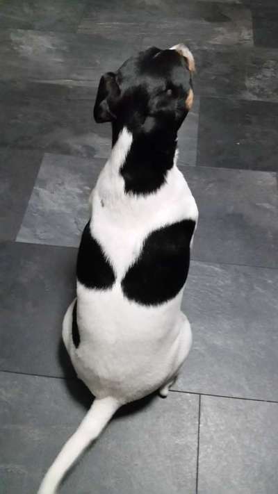 3. Ein besonderes Merkmal-Beitrag-Bild