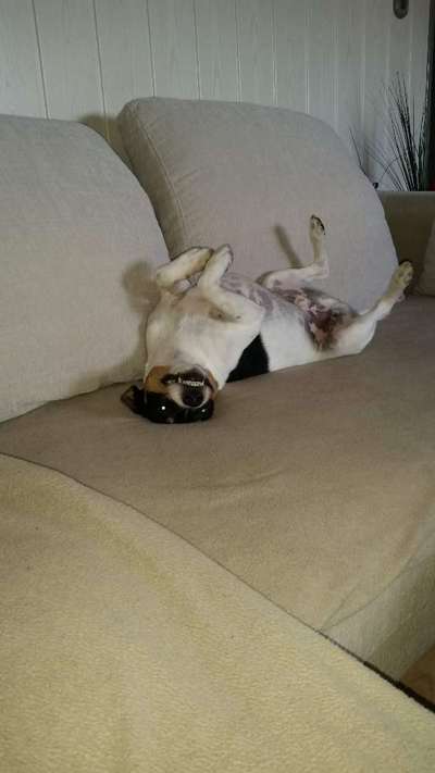 Lustige Grimassen & verrückte Posen-Beitrag-Bild