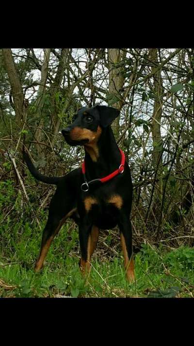 Lieblingsbild-Beitrag-Bild