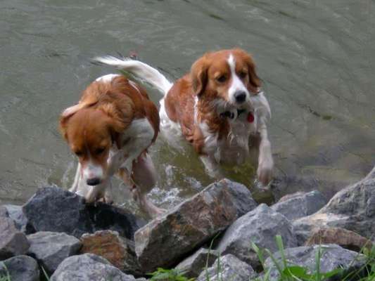 Fotochallenge 130-Beitrag-Bild