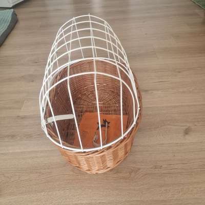 Hundefahrradkorb-Beitrag-Bild