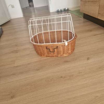 Hundefahrradkorb-Beitrag-Bild