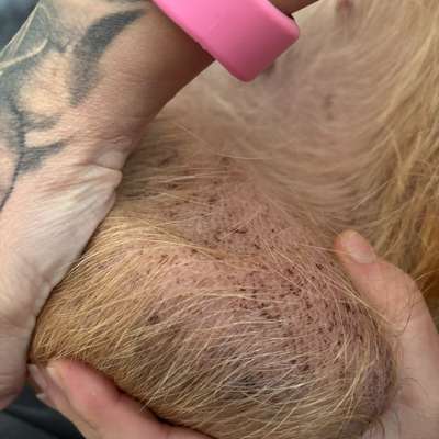 Unerklärlicher Juckreiz-Beitrag-Bild